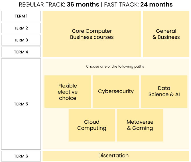 bsc computer science and cybersecurity