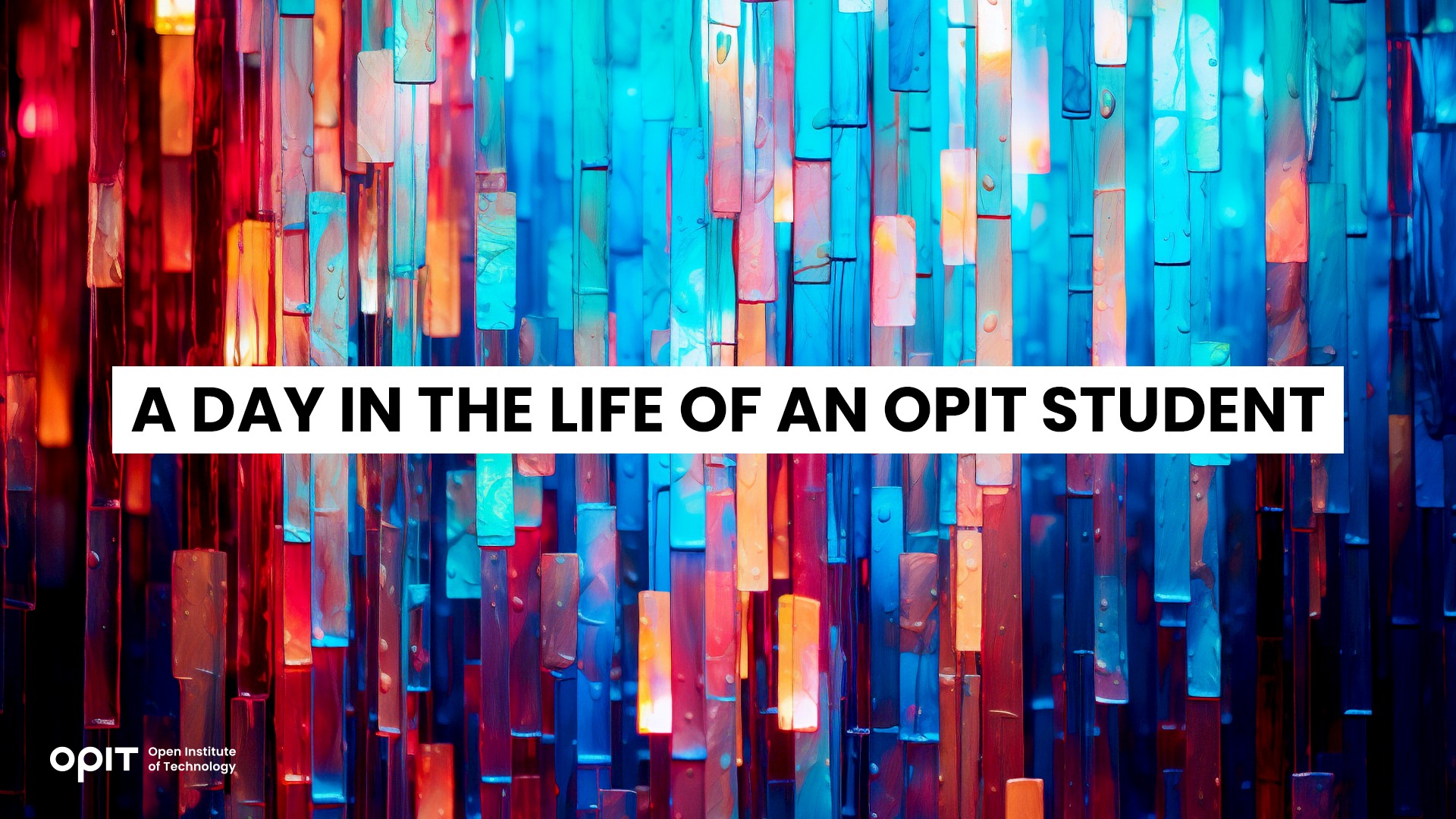 A Day in the Life of an OPIT Student