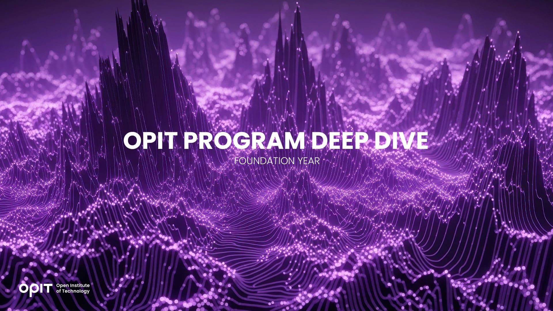OPIT Program Deep Dive Foundation Year