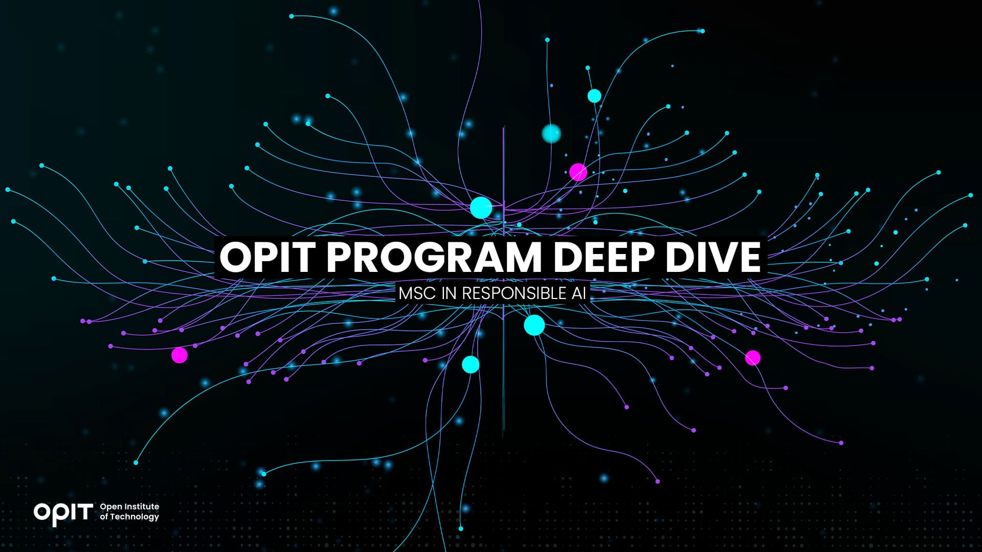 OPIT Program Deep Dive MSc in Responsible AI