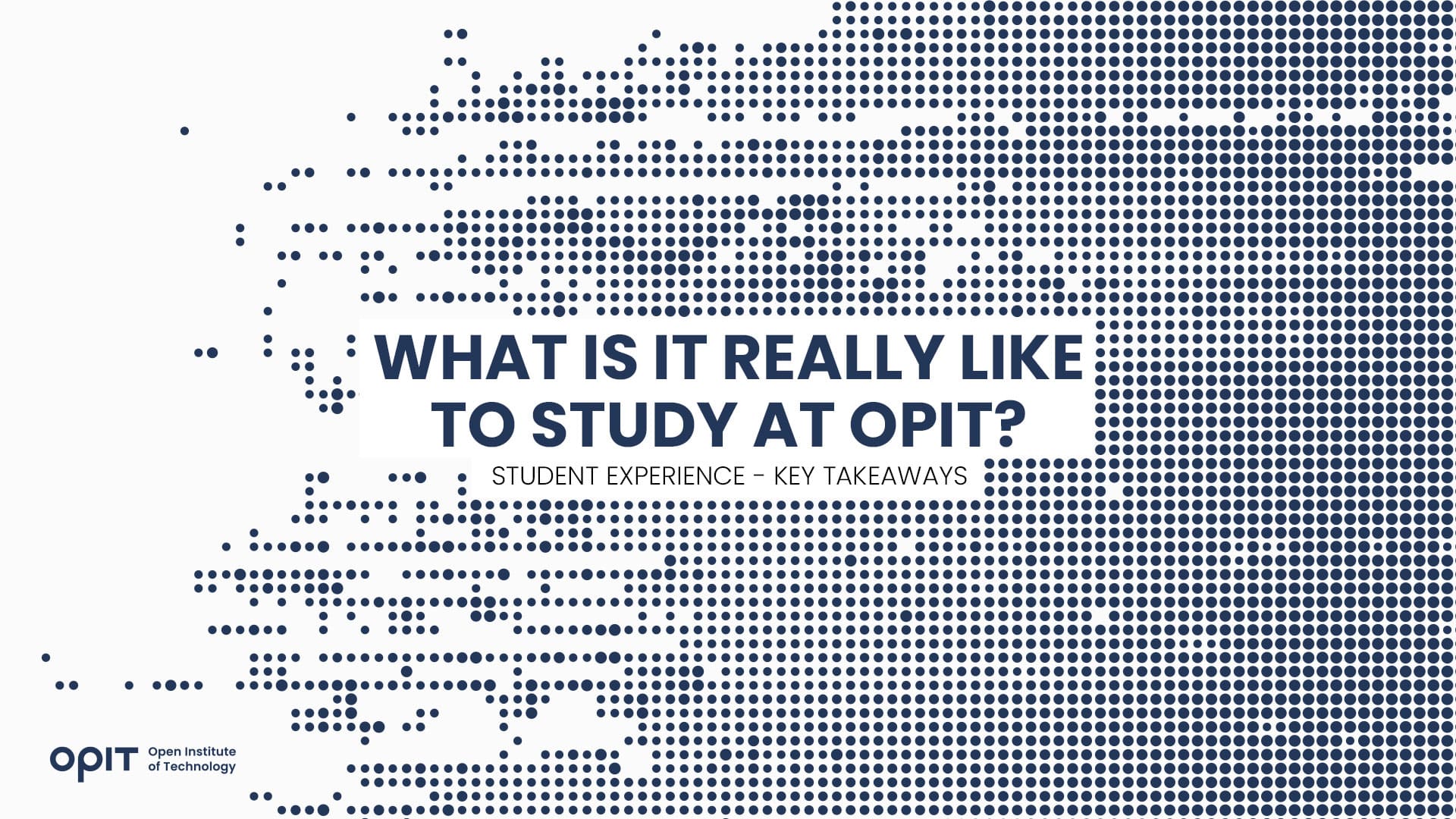 What Is It Really Like to Study at OPIT Student Experience – Key Takeaways